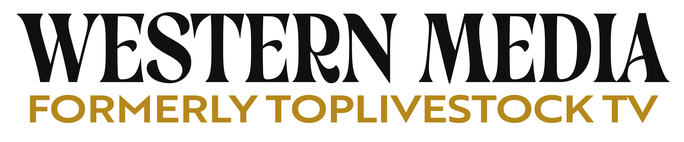 Western Media logo